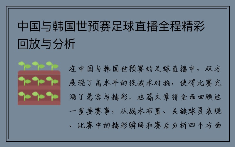 中国与韩国世预赛足球直播全程精彩回放与分析